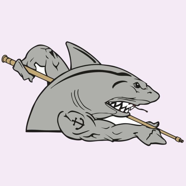 AR POOL 27 RC Thumbnail