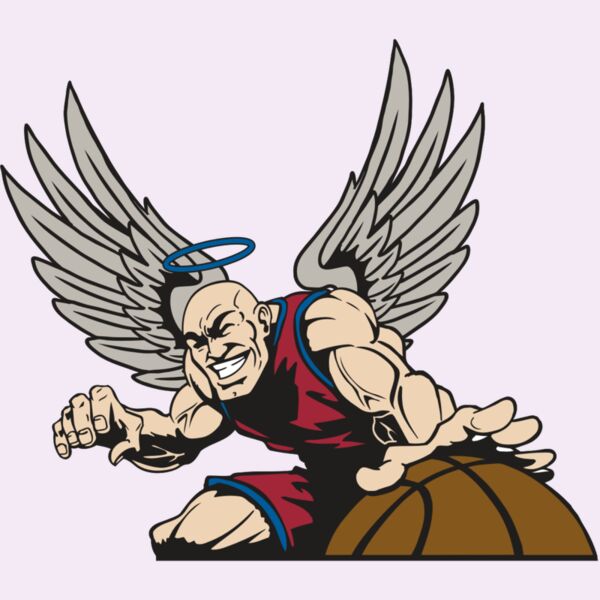 AR17 ANGEL BSKT 04 RQC Thumbnail