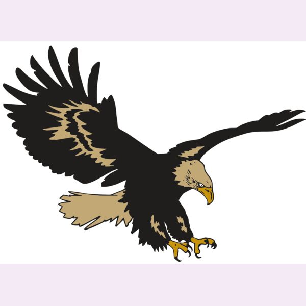 AR EAGLE 47 RC Thumbnail