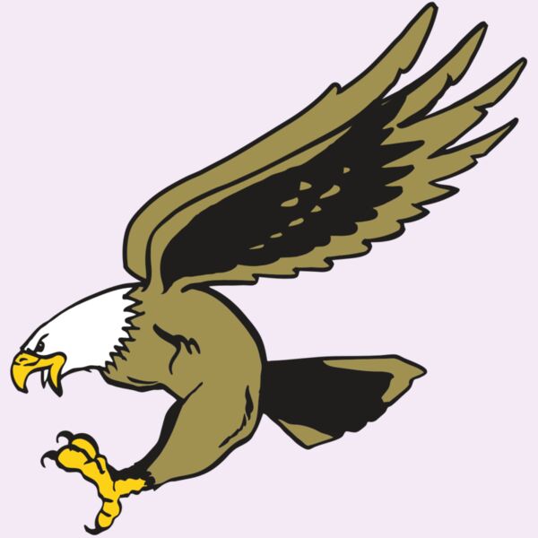 AR EAGLE 23 RC Thumbnail