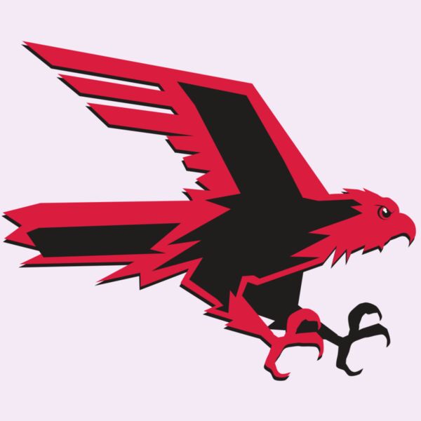 AR9 FALCON 02 RQC Thumbnail