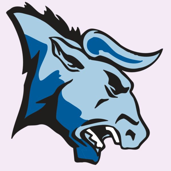 AR BULL 20 RC Thumbnail