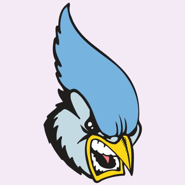 BAW BLUEJAY 05 RC Thumbnail