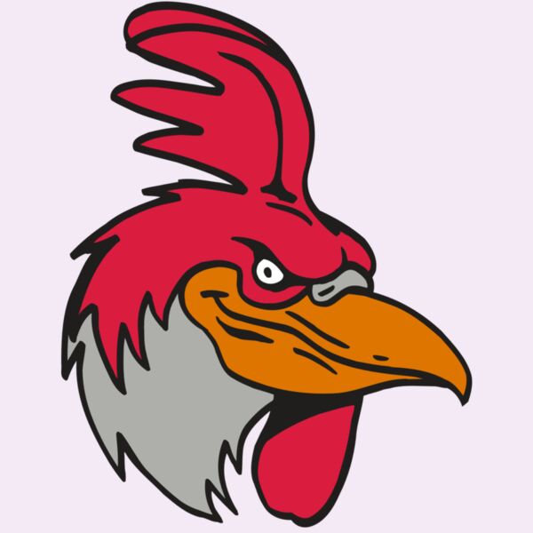 AR5 Gamecock 05 RQC Thumbnail