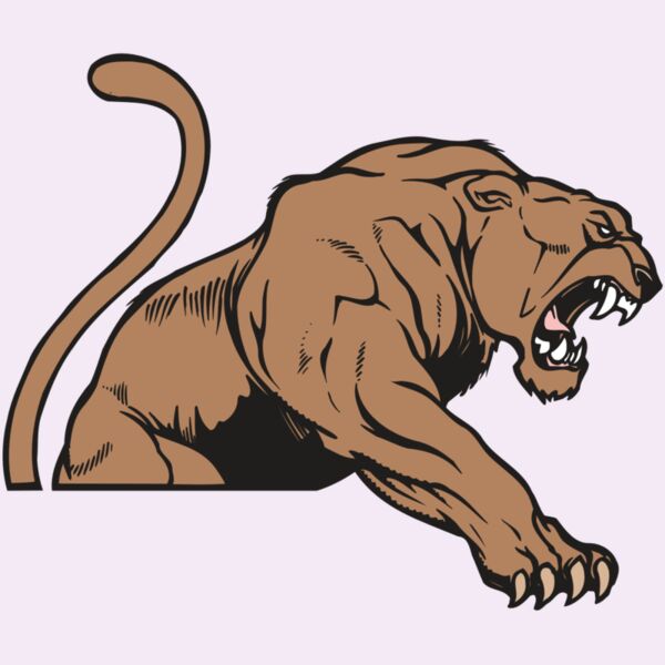 AR COUGAR 55 RC Thumbnail