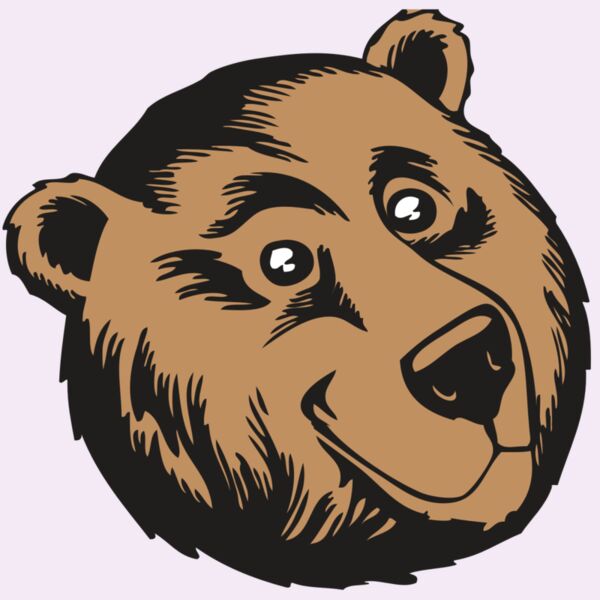 BAW BEAR 11 RC Thumbnail