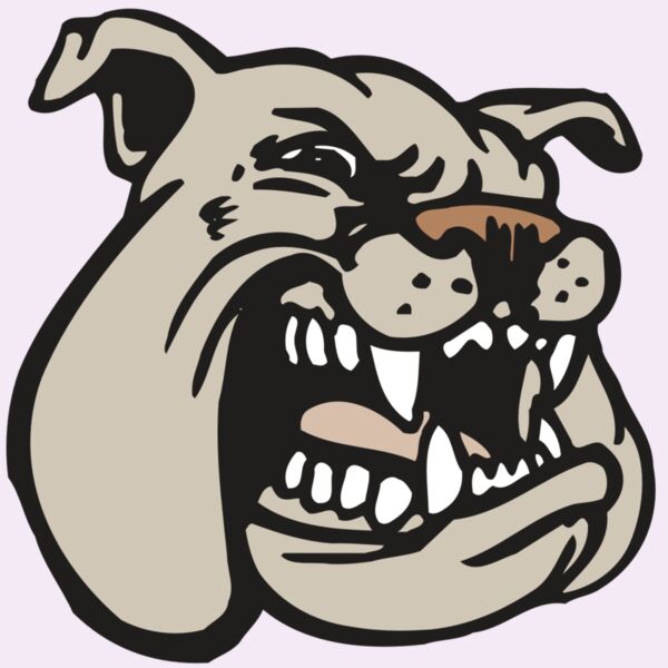 AR BDOG 38 RC Thumbnail