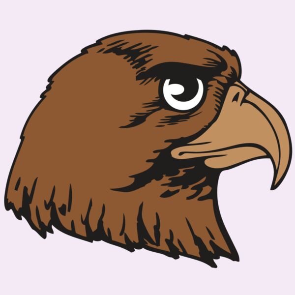 BAW HWK FLCN 05 RC Thumbnail