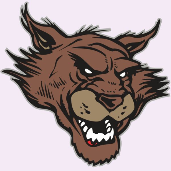 AR WILDCAT 11 RC Thumbnail