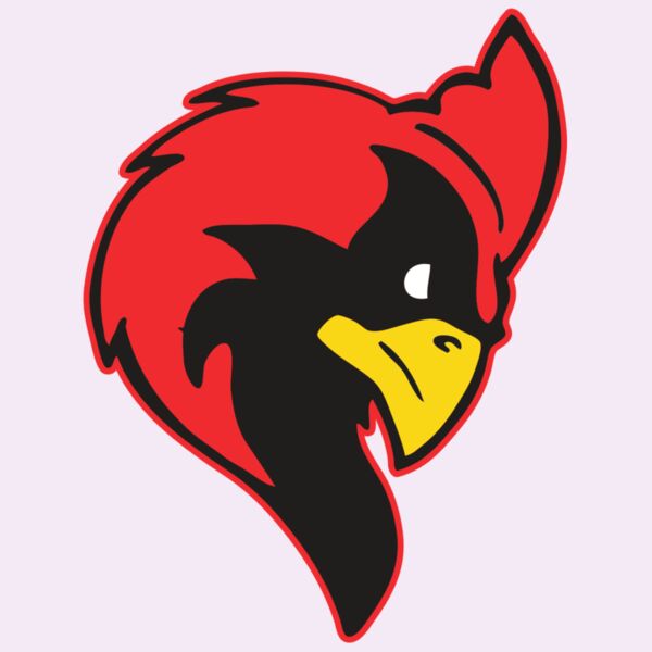 AR CARDINAL 24 RC Thumbnail