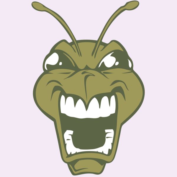 BAW BEE 13 RC Thumbnail