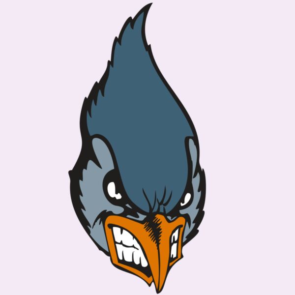 BAW BLUEJAY 01 RC Thumbnail