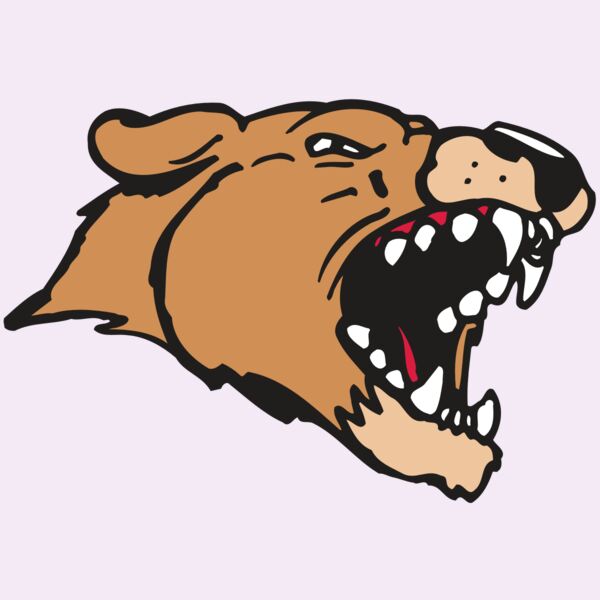 AR5 COUGAR 33 RQC Thumbnail