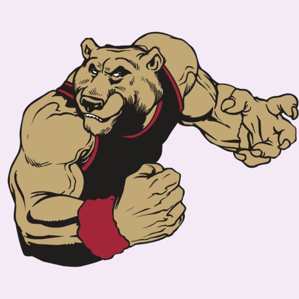 AR BEAR 40 RC Thumbnail