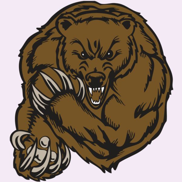 BAW BEAR 07 RC Thumbnail