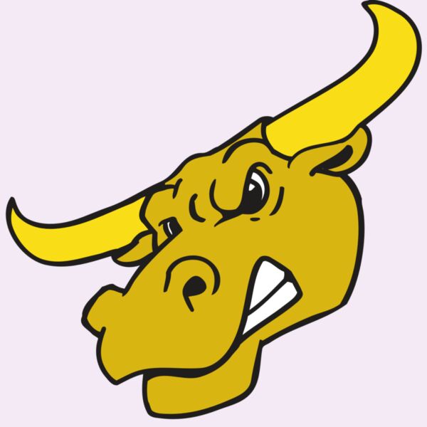 AR BULL 29 RC Thumbnail