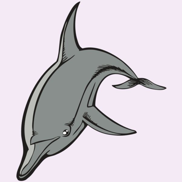 BAW DOLPHIN 03 RC Thumbnail