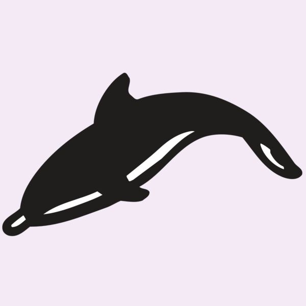 AR DOLPIN 16 RC Thumbnail