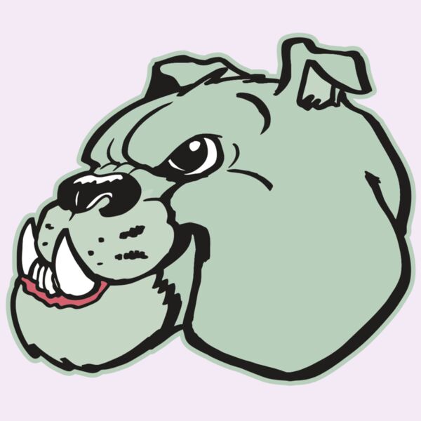 AR BDOG 29 RC Thumbnail