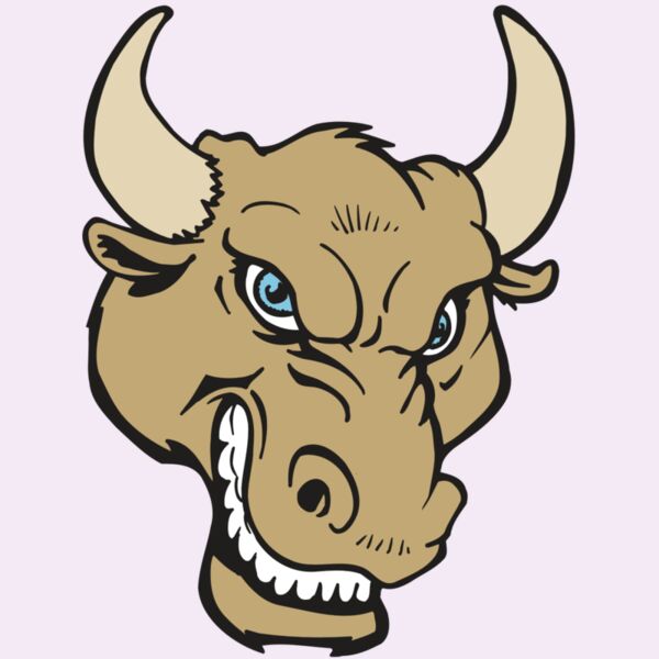 AR5 BULL 13 RQC Thumbnail