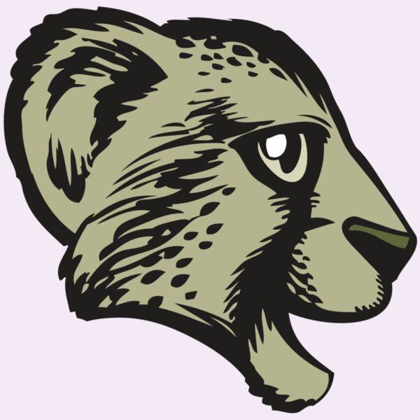 BAW CHEETAH 17 RC Thumbnail