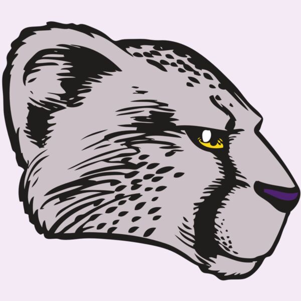 BAW CHEETAH 20 RC Thumbnail