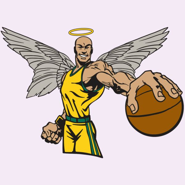 AR17 ANGEL BSKT 06 RQC Thumbnail