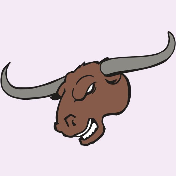 AR BULL 10 RC Thumbnail