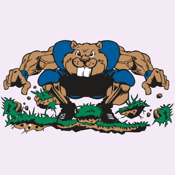 AR14 BEAVER FBLL 04 RQC Thumbnail