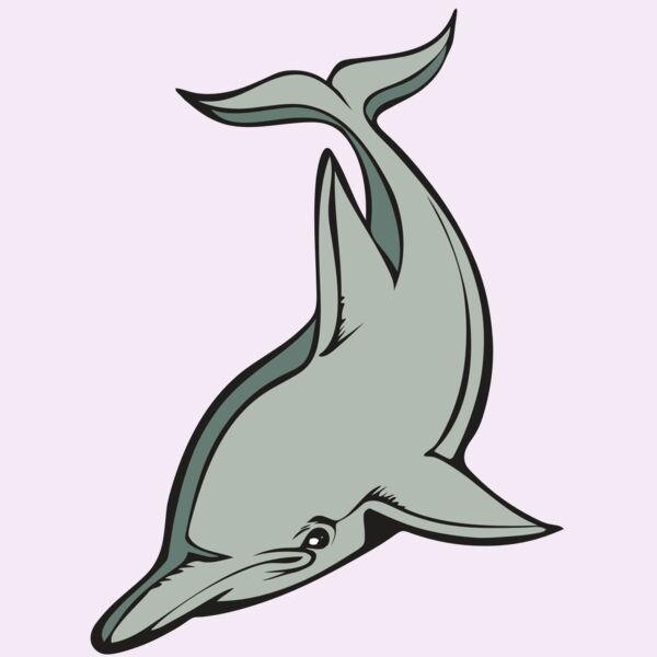 BAW DOLPHIN 01 RC Thumbnail