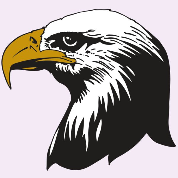 AR EAGLE 87 RC Thumbnail