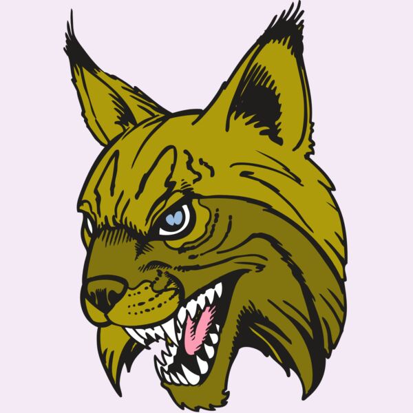 BAW BOBCAT 05 RC Thumbnail