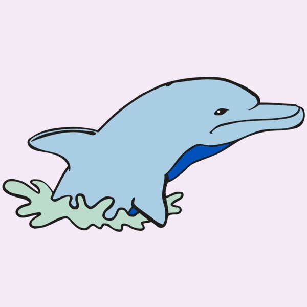 AR DOLPIN 14 RC Thumbnail