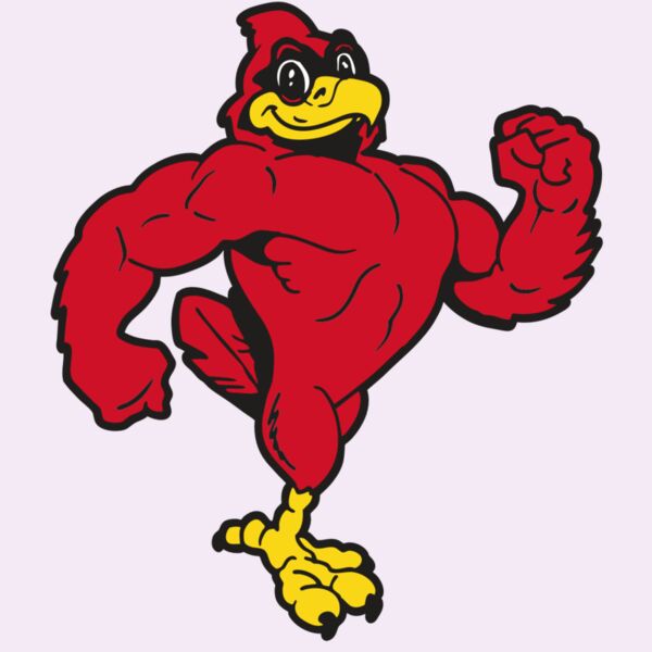 AR CARDINAL 41 RC Thumbnail