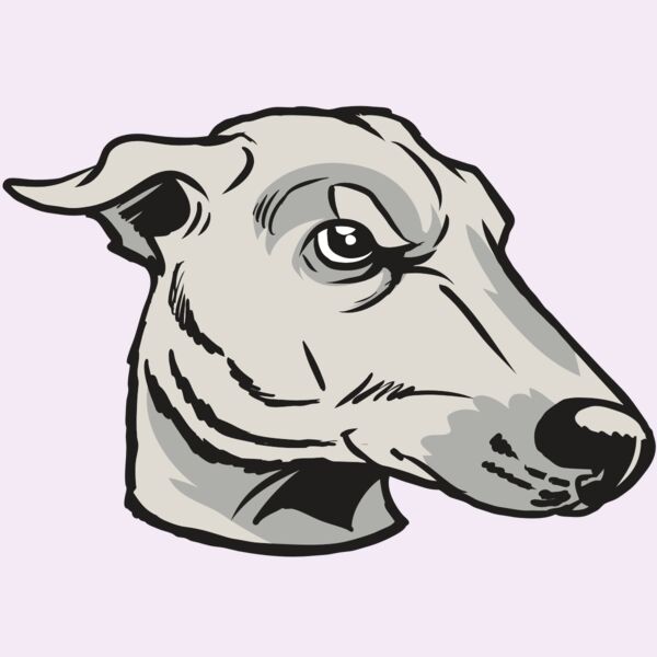 AR22 GREYHOUND 01 RQC Thumbnail