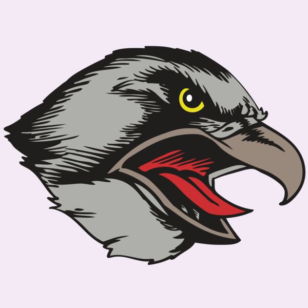 BAW HWK FLCN 13 RC Thumbnail