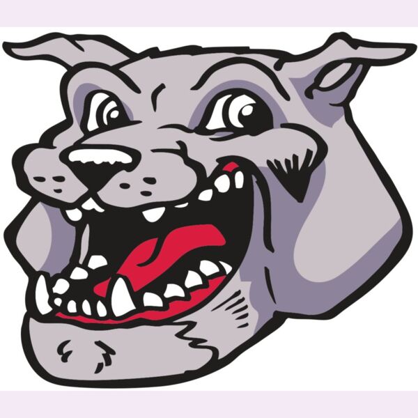 AR BDOG 24 RC Thumbnail