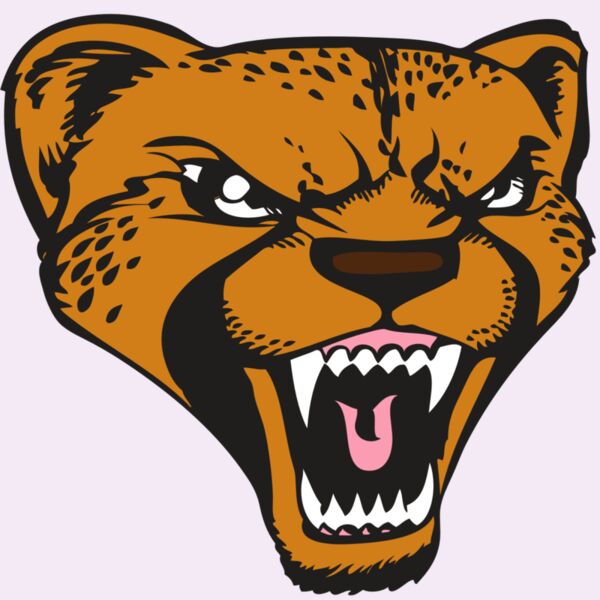 BAW CHEETAH 12 RC Thumbnail