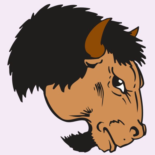 AR BUFFALO 16 RC Thumbnail