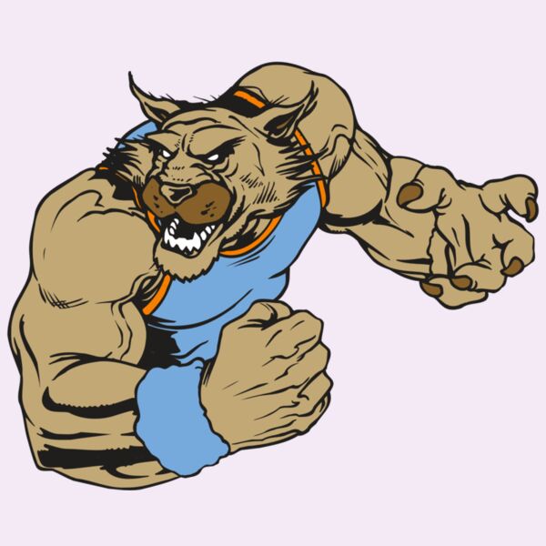 AR WILDCAT 46 RC Thumbnail