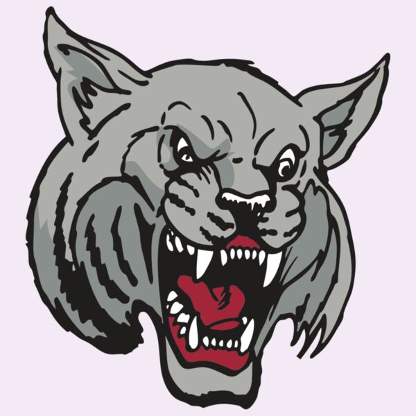 AR WILDCAT 42 RC Thumbnail