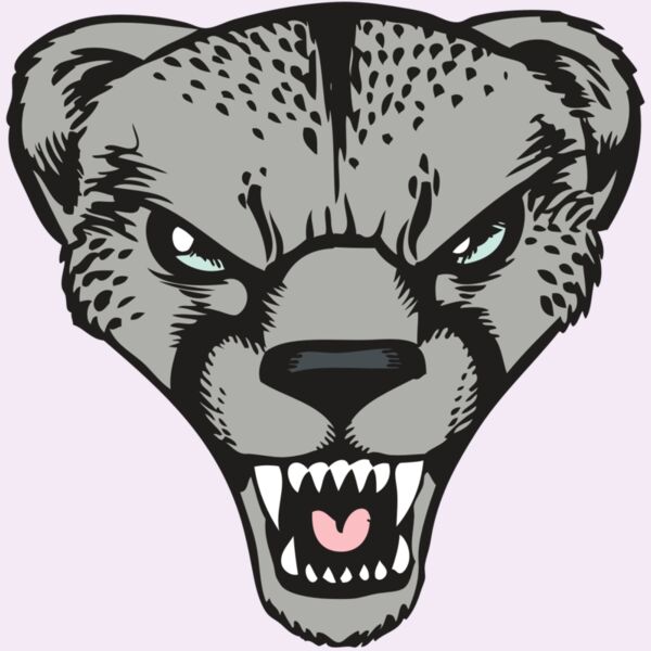 BAW CHEETAH 15 RC Thumbnail