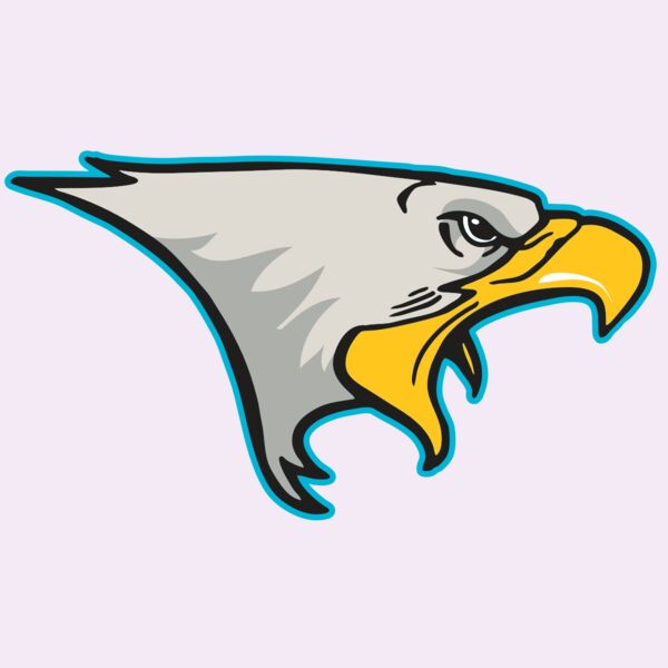 AR14 EAGLE FBALL 01 RQC Thumbnail