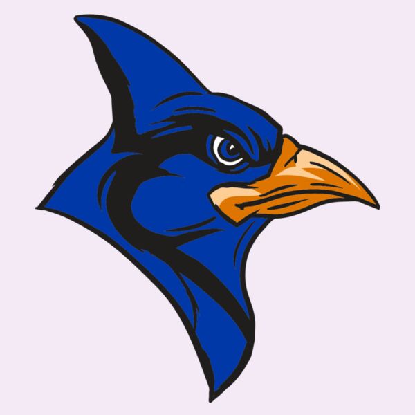 AR13 BLUEJAY 04 RQC Thumbnail