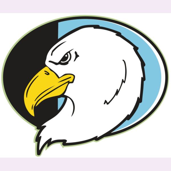 AR EAGLE 55 RC Thumbnail