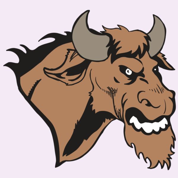 AR5 BULL 09 RQC Thumbnail