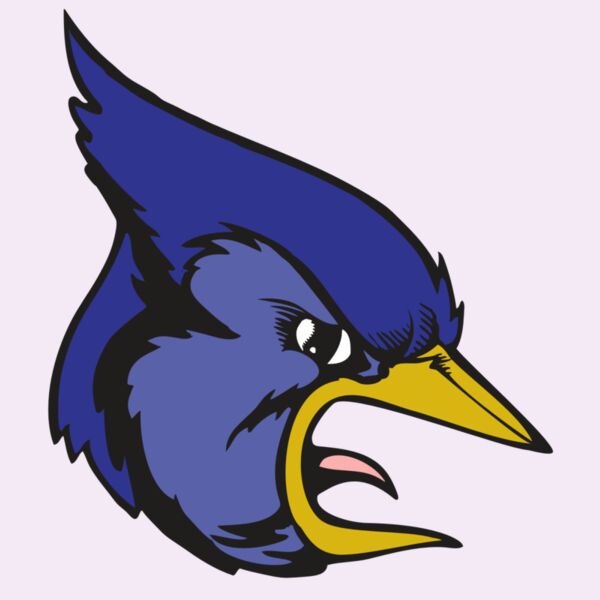 BAW BLUEJAY 04 RC Thumbnail