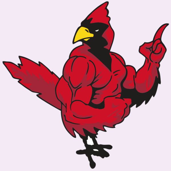 AR CARDINAL 27 RC Thumbnail