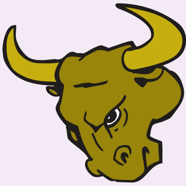 AR BULL 26 RC Thumbnail