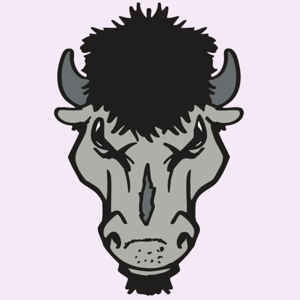 AR BUFFALO 15 RC Thumbnail